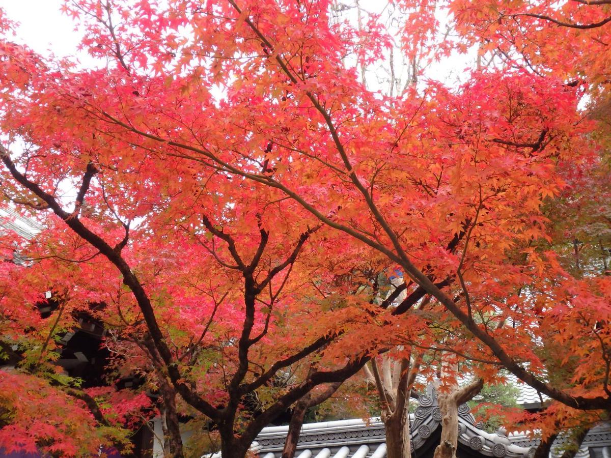 Kyo No Yado Nishioji Hotel Kyoto Exterior photo