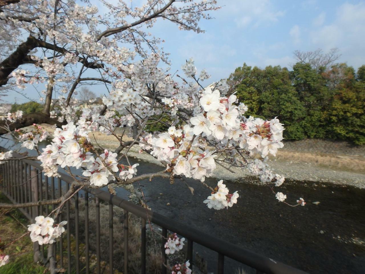 Kyo No Yado Nishioji Hotel Kyoto Exterior photo